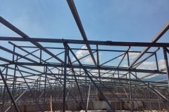 Фени, Кровови